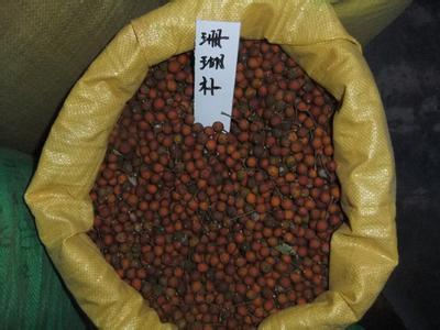 【咸陽市香椿種子價格】價格,廠家,其他種子、種苗-搜了網