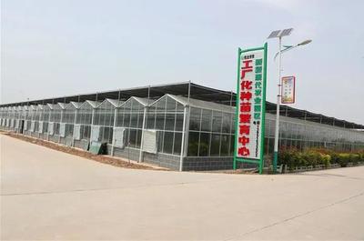 「亮點」陜西大荔:“四大行動”推進基層黨建提質增效