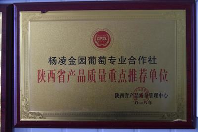 春耕生產(chǎn)看三秦|陳敏儒的“育苗經(jīng)”